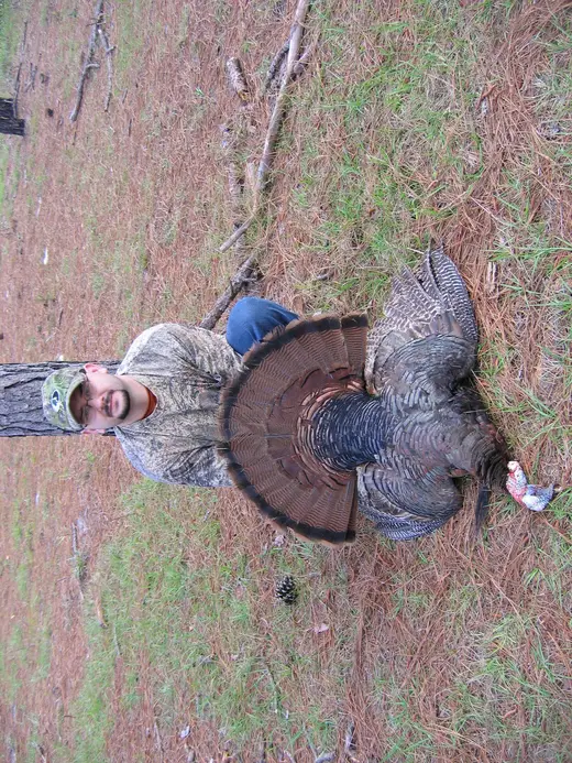 Osceola Turkey Hunts — photograph from the Gunners Taxidermy gallery