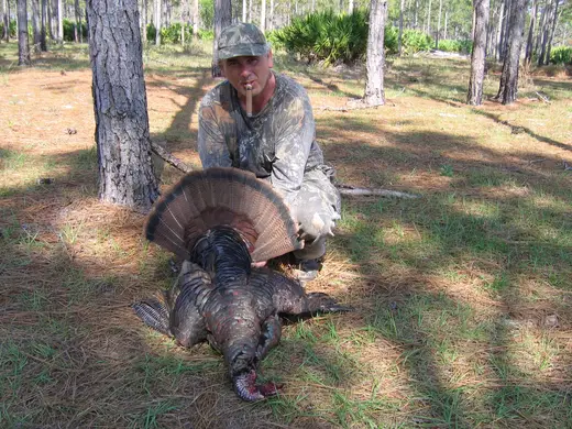 Osceola Turkey Hunts — photograph from the Gunners Taxidermy gallery