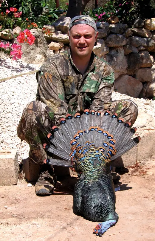 Ocellated Turkey Hunts — photograph from the Gunners Taxidermy gallery