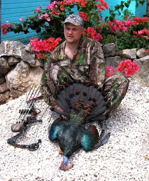 Ocellated Turkey Hunts — photograph from the Gunners Taxidermy gallery