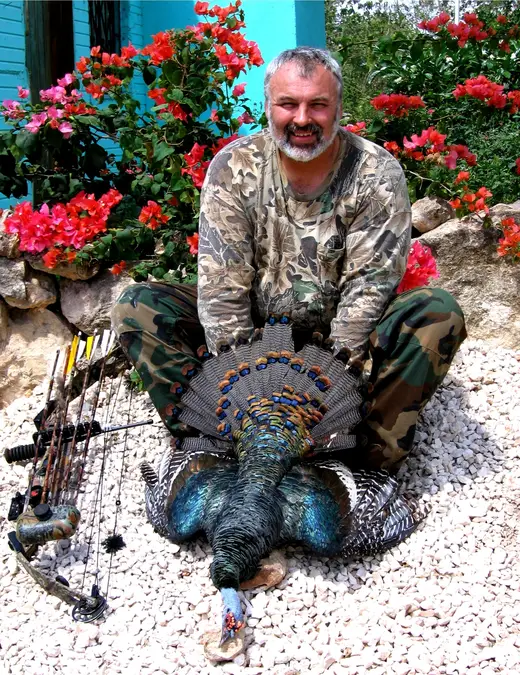 Ocellated Turkey Hunts — photograph from the Gunners Taxidermy gallery