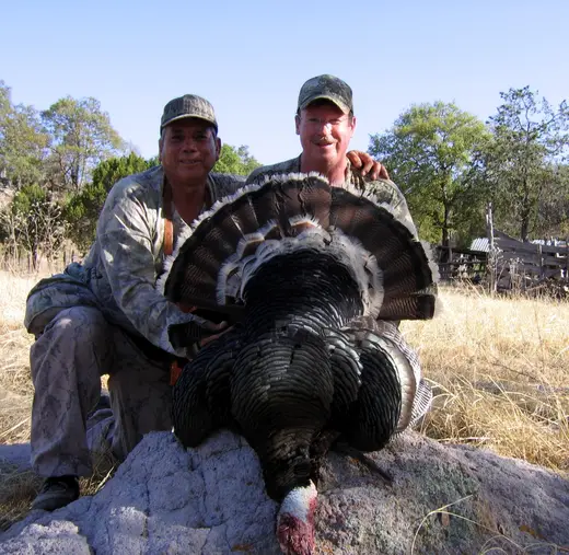Gould's Turkey Hunts — photograph from the Gunners Taxidermy gallery
