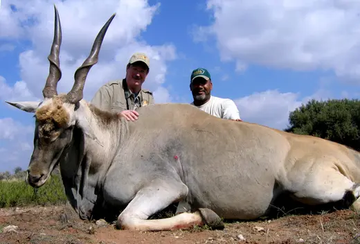 Africa Plains Game Hunts — photograph from the Gunners Taxidermy gallery