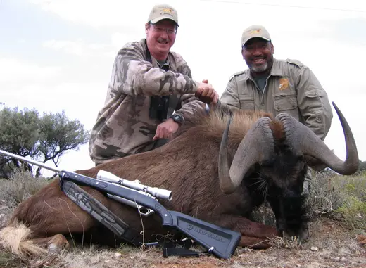 Africa Plains Game Hunts — photograph from the Gunners Taxidermy gallery