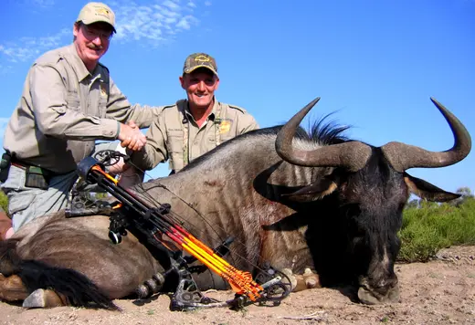 Africa Plains Game Hunts — photograph from the Gunners Taxidermy gallery