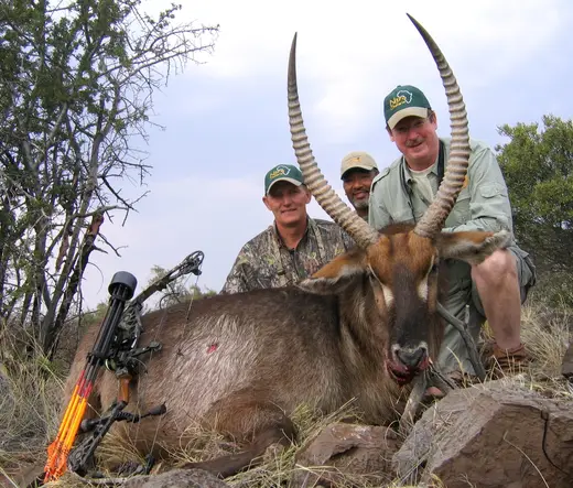 Africa Plains Game Hunts — photograph from the Gunners Taxidermy gallery