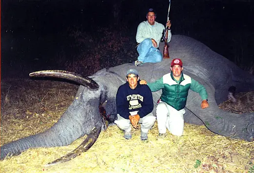 Lyster and Elephant — Africa Dangerous Game Hunts at Gunners Taxidermy