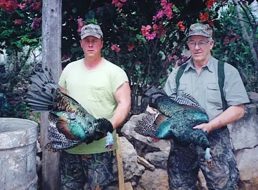 Mike Summers and Russell Ocellated — Ocellated Turkey Hunts at Gunners Taxidermy