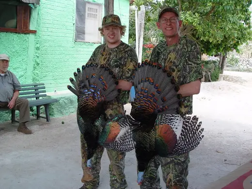 Ocellated Turkey Hunts 019 — Ocellated Turkey Hunts at Gunners Taxidermy