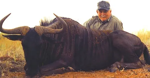 Ron Luttrell Wildebeest — Africa Plains Game Hunts at Gunners Taxidermy