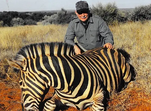 Ron Luttrell Zebra — Africa Plains Game Hunts at Gunners Taxidermy