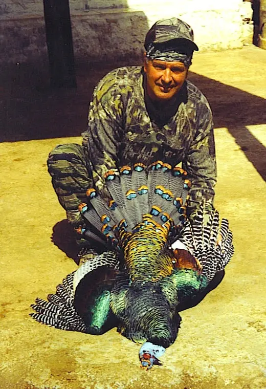 Terry Back Ocellated — Ocellated Turkey Hunts at Gunners Taxidermy