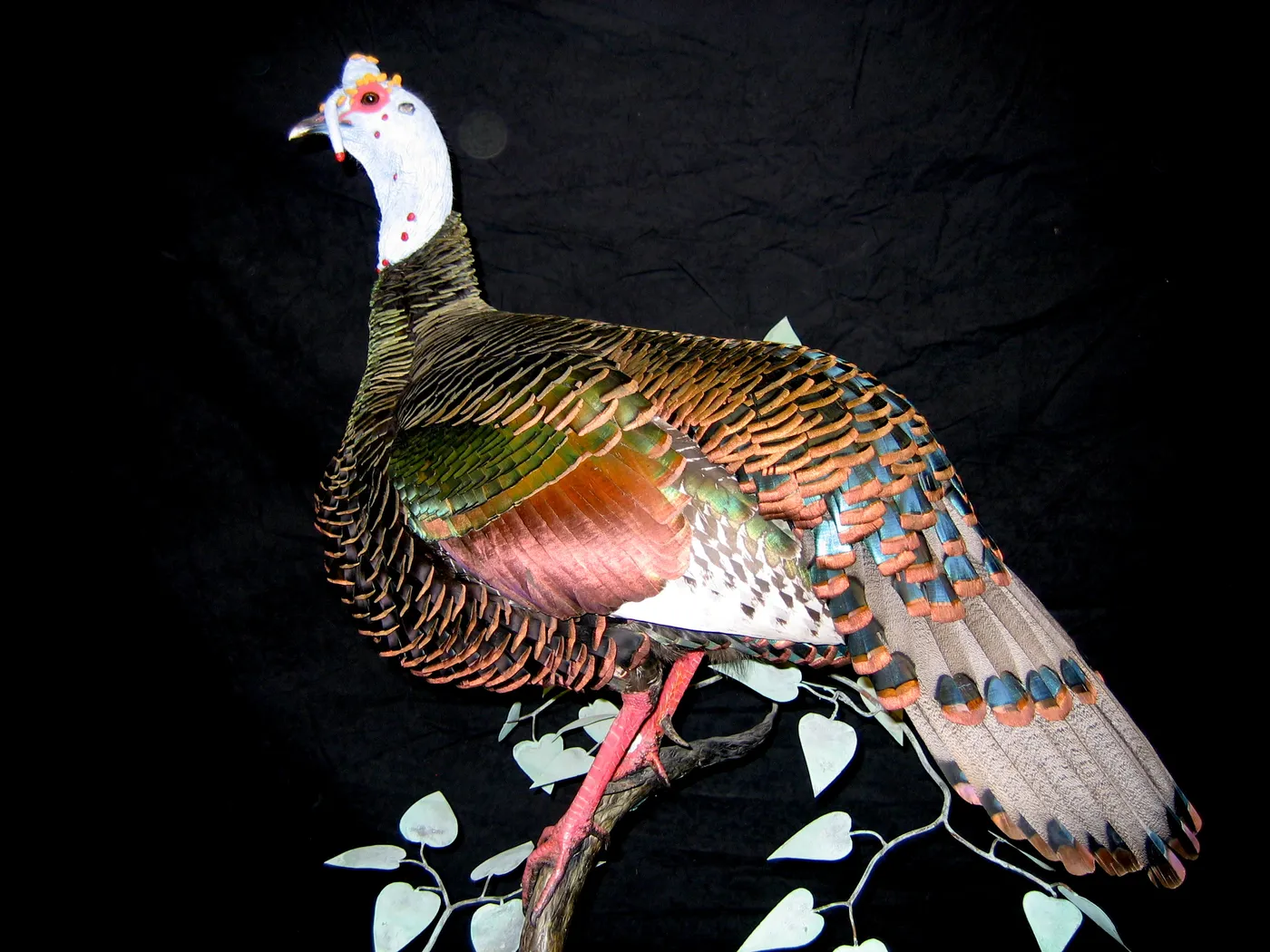 Taxidermy work in progress at the Gunners Taxidermy studio